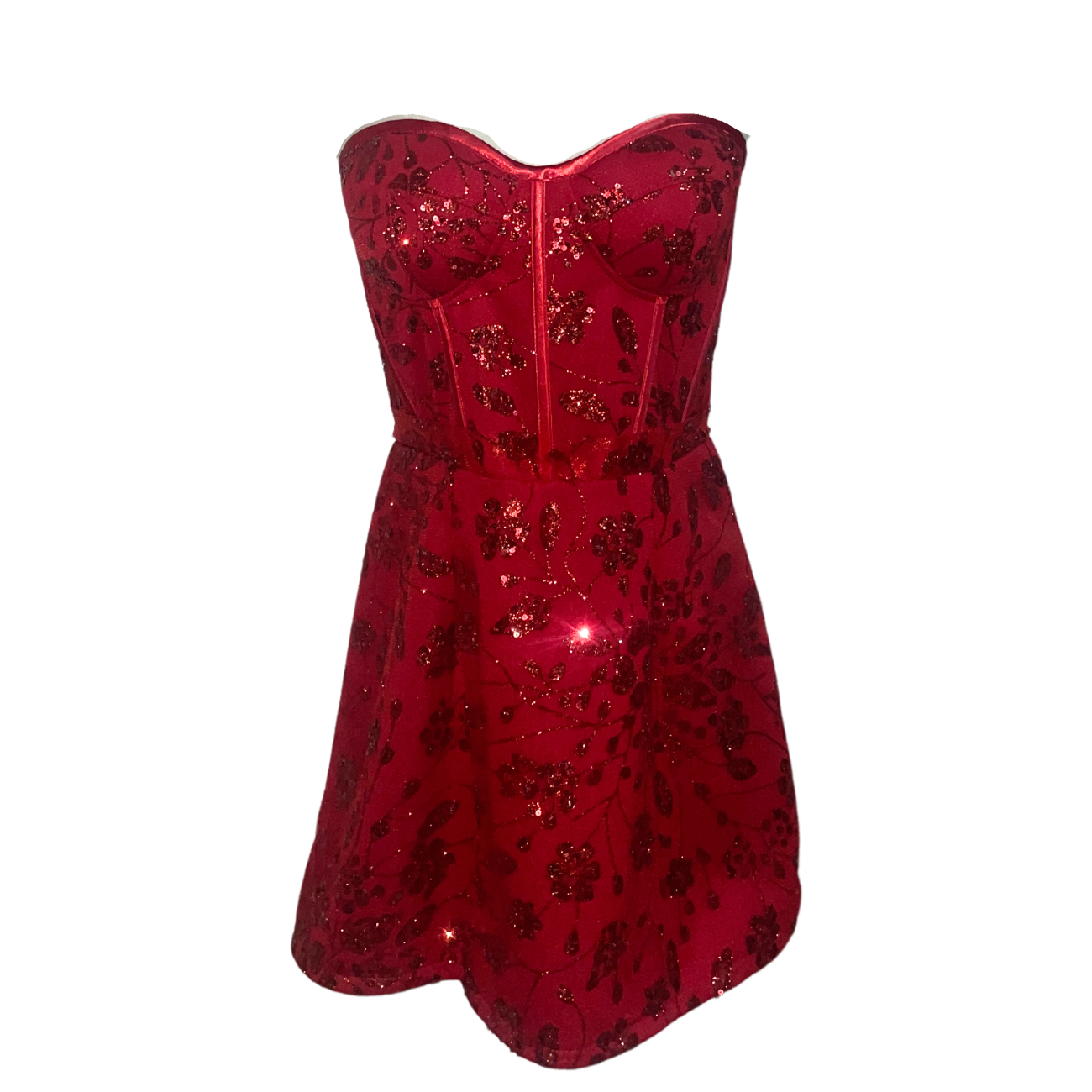 AUVORA Red Floral Corset Holiday Christmas Mini Dress