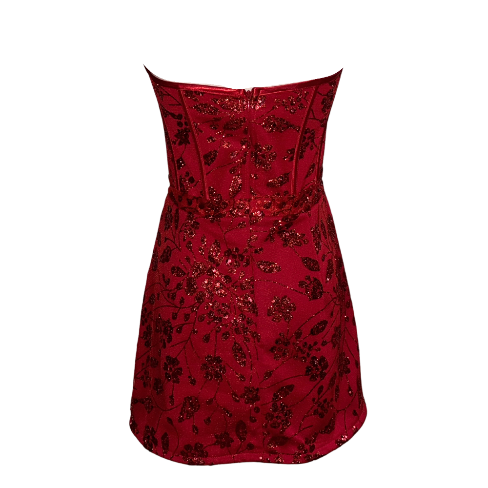 AUVORA Red Floral Holiday Christmas Corset Mini Dress